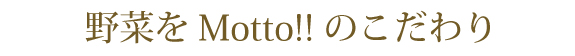 野菜をMotto!!のこだわり