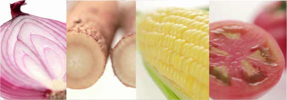 野菜をMotto!!のこだわり